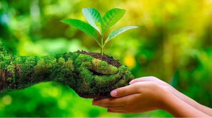 🌳 সবুজ বাংলাদেশ গড়ার অঙ্গীকার (আসছে)